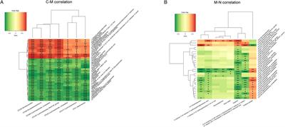 Nanosecond pulse effectively ablated hepatocellular carcinoma with alterations in the gut microbiome and serum metabolites